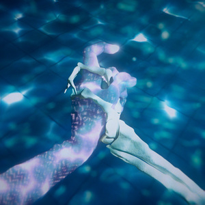 开处见血的免费视频
