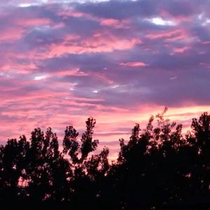 开处见血的免费视频
