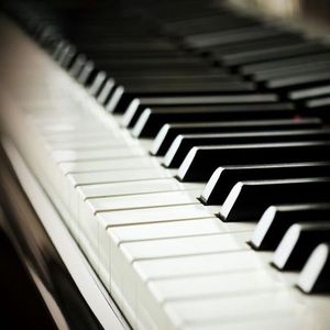 开处见血的免费视频
