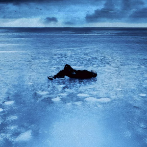 开处见血的免费视频
