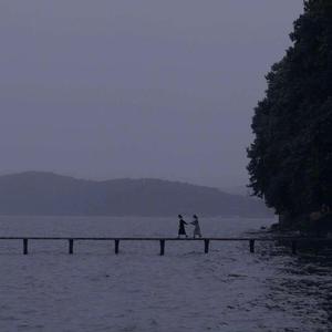 开处见血的免费视频
