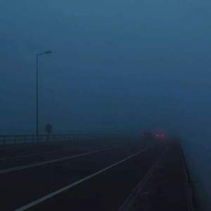 开处见血的免费视频
