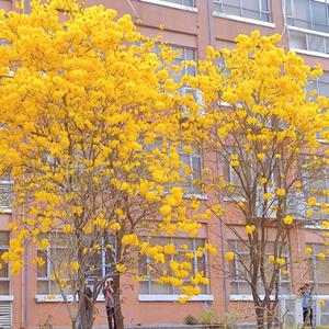 开处见血的免费视频
